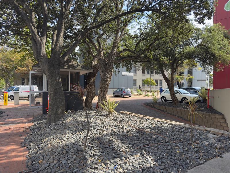 To Let commercial Property for Rent in Rondebosch Western Cape
